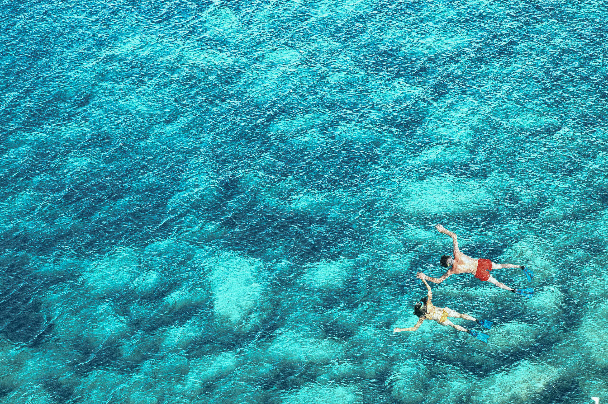 open water swimming essentials