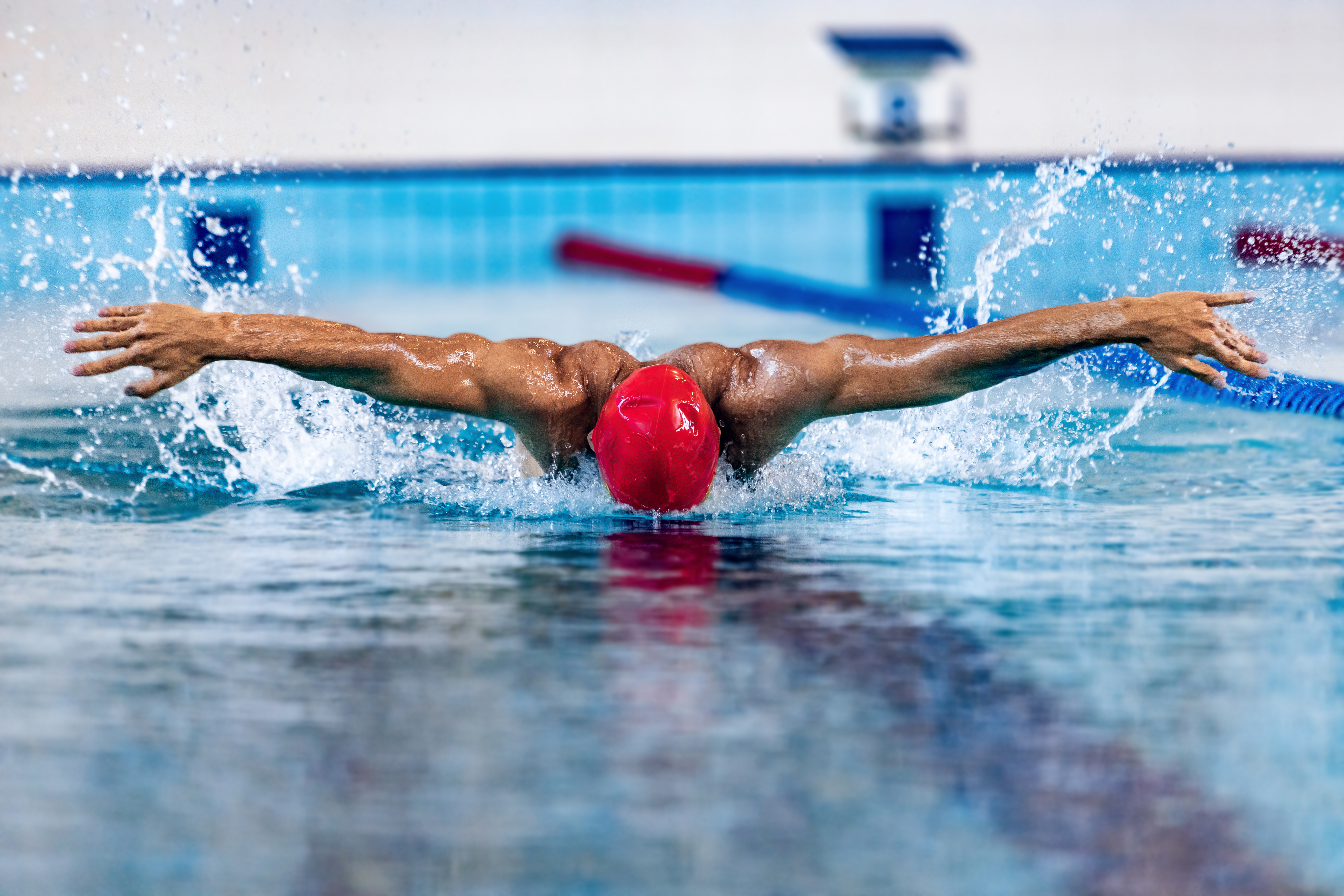 professional swimmer doing butterfly